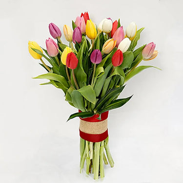 Tulip Radiance, 25 Vibrant Blooms, Nature's Beauty, White Tulips, Yellow Tulips